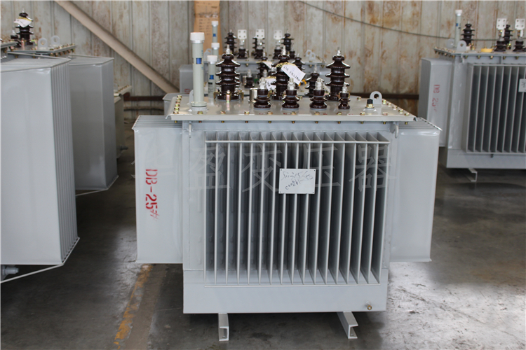 乌兰察布S20-800kVA/10kV/0.4kV变压器